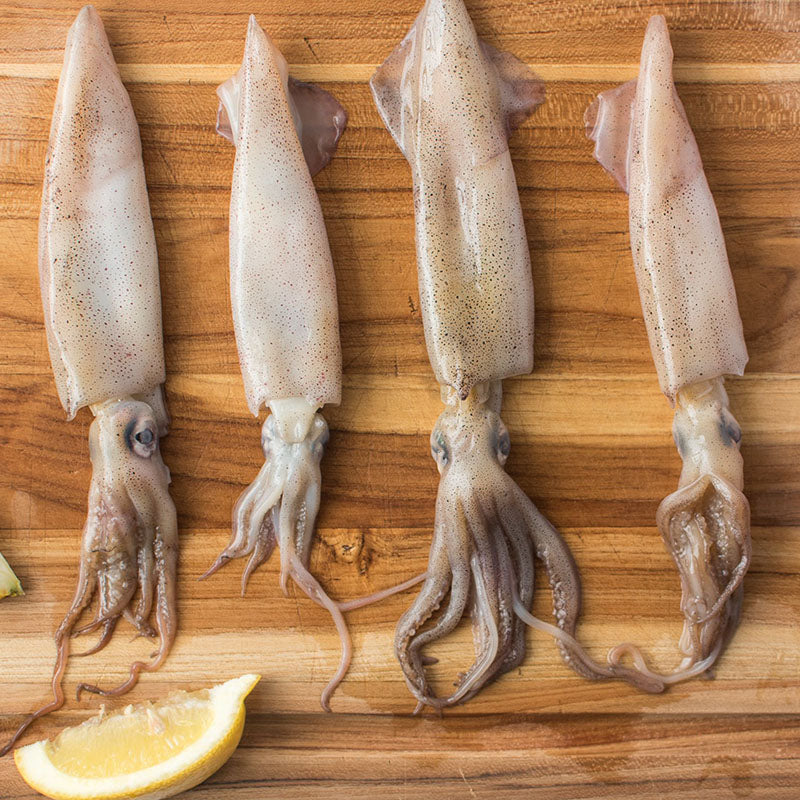 Squid (魷魚) 800-1000g