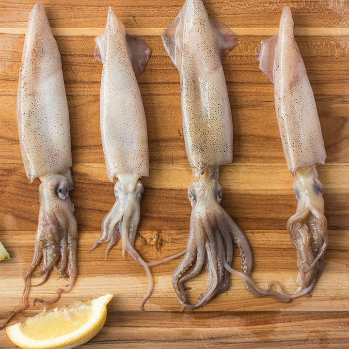 Squid (魷魚) 800-1000g