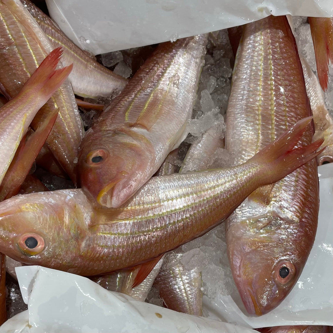 Golden Threadfin Bream (紅衫魚) (~500g)