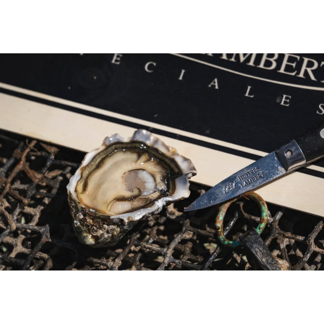 頂級法國生蠔 French Premium Oysters