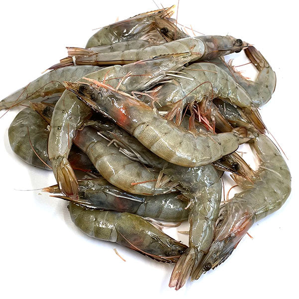 King Prawn (海蝦)