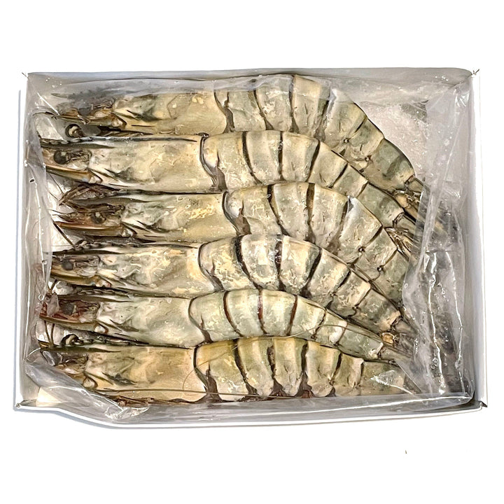 Tiger Prawn (Frozen) 急凍大虎蝦
