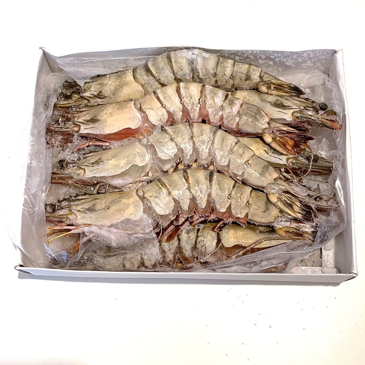 Tiger Prawn (Frozen) 急凍大虎蝦