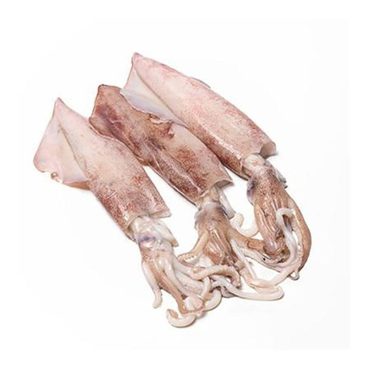 Squid (魷魚)