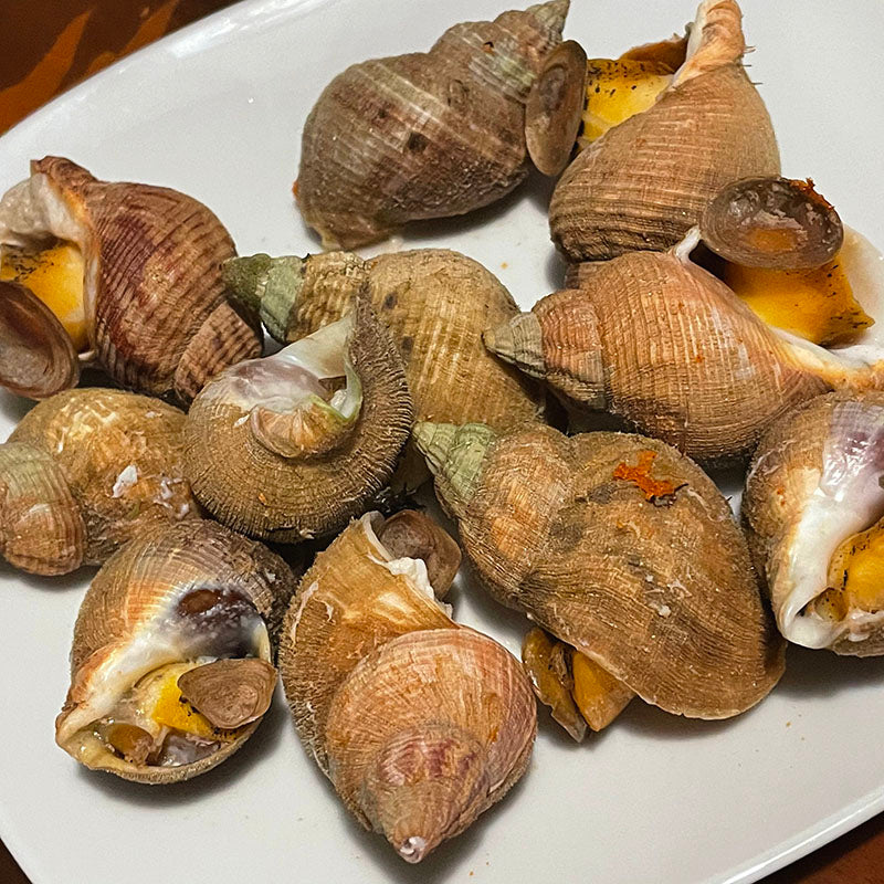 Live Whelks (鮮活歐洲螺) 1KG