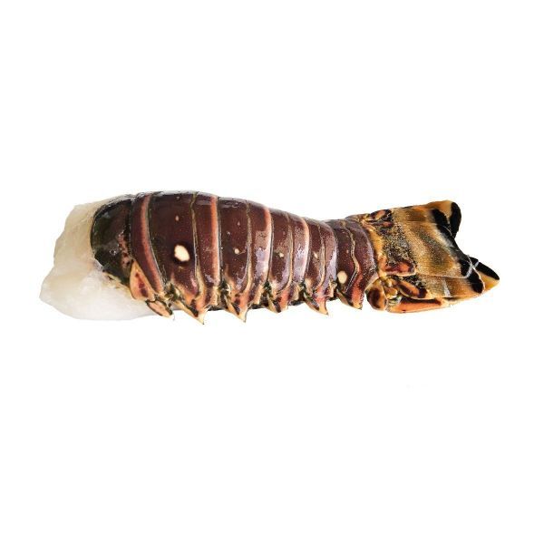 Raw Lobster Tail 5 oz (Frozen) 急凍龍蝦尾