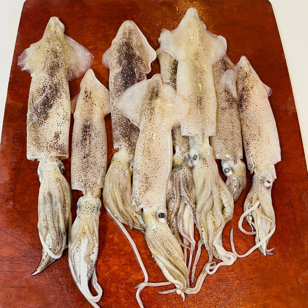 California Squid (Frozen) 急凍魷魚筒