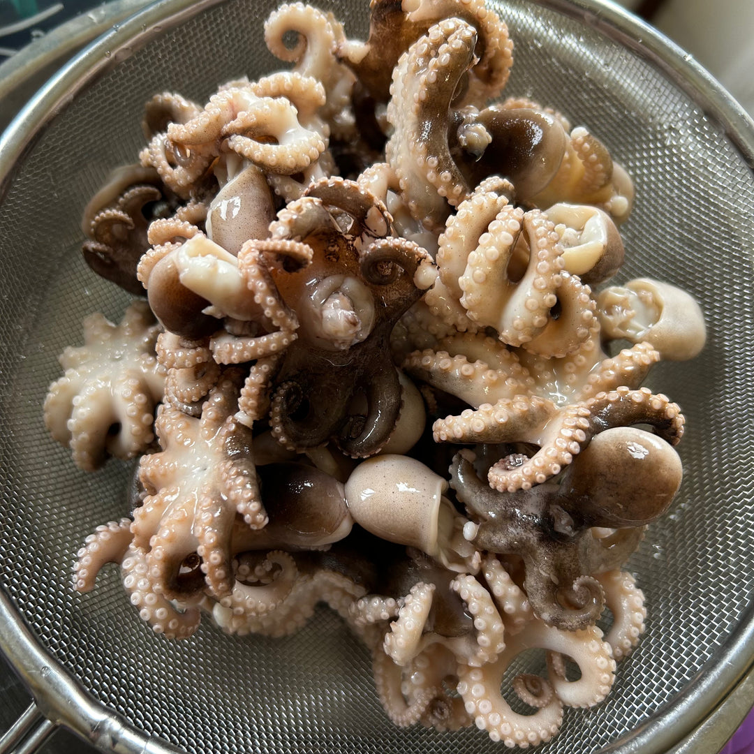 Baby Octopus (Frozen) 急凍八爪魚仔