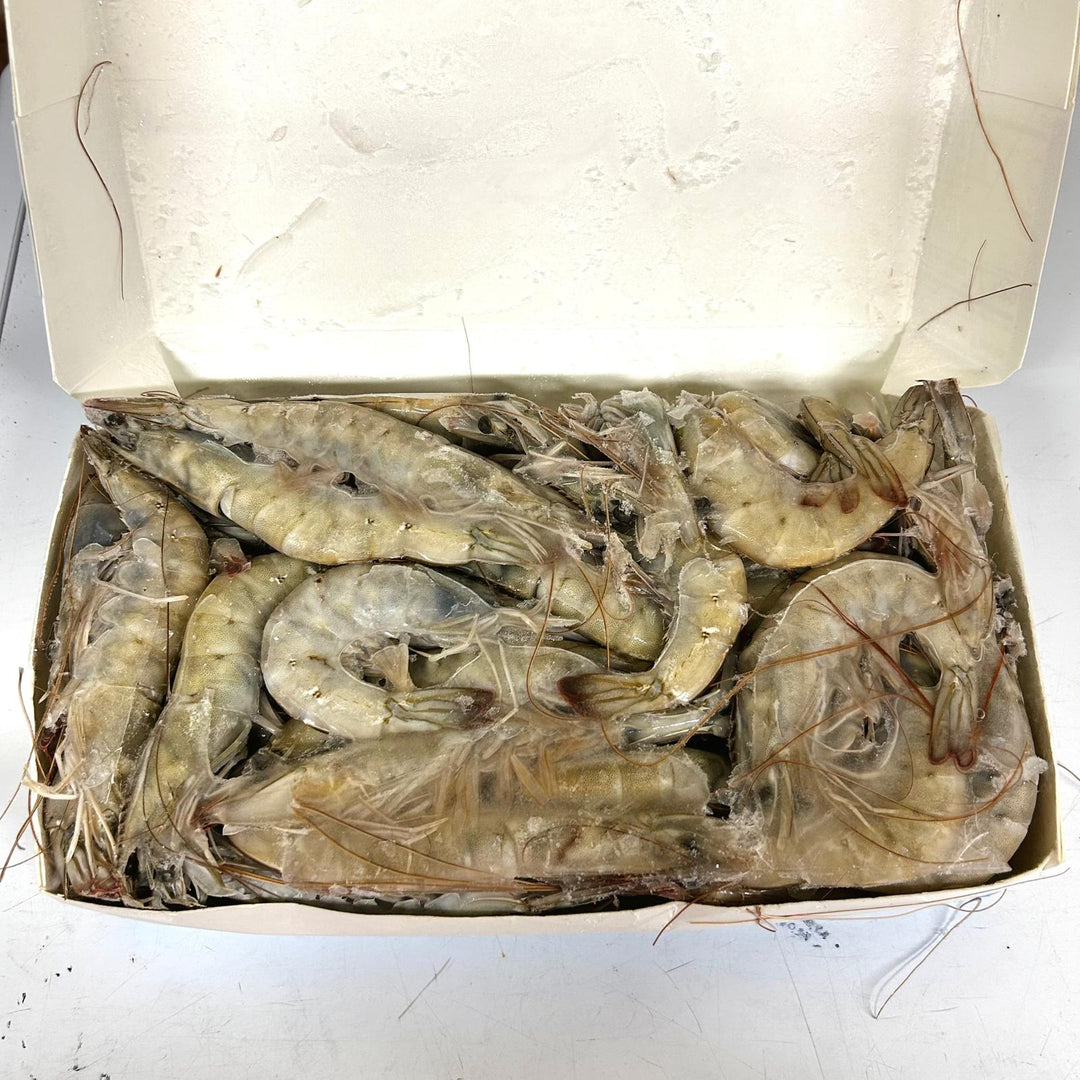 King Prawn L 2KG (原盒急凍)