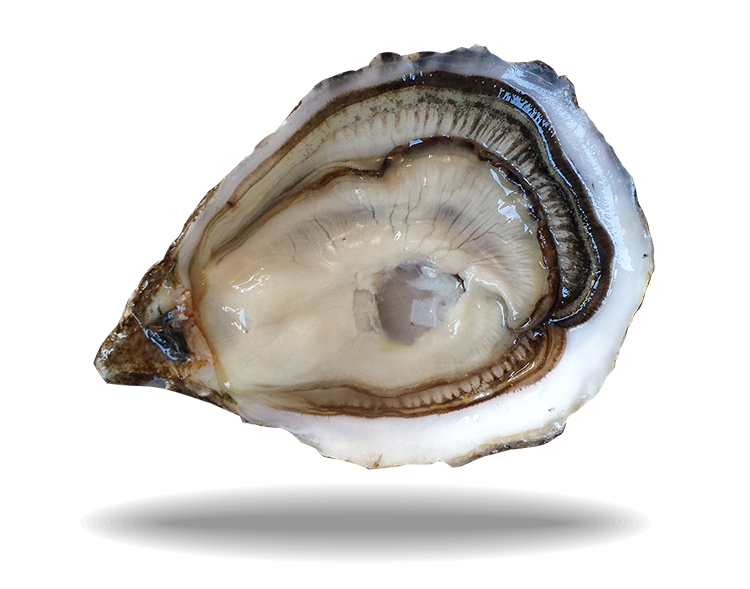 Spéciales de Claires