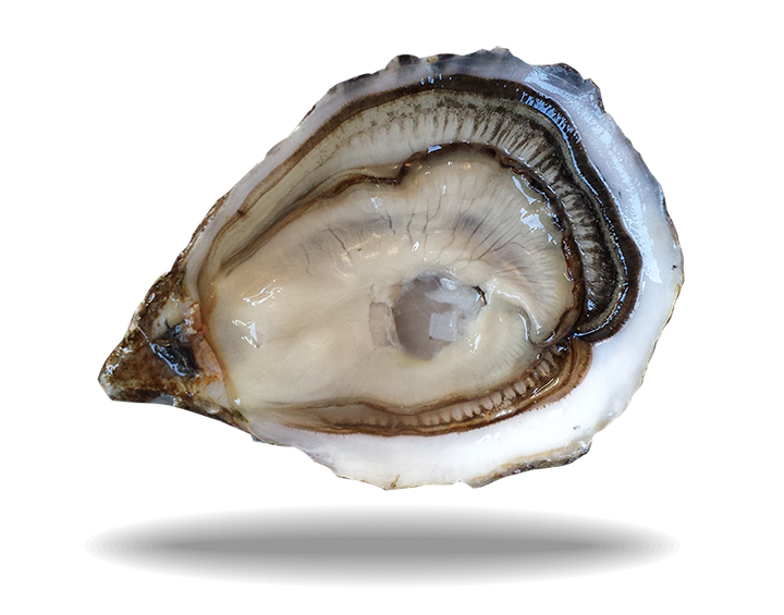 Spéciales de Claires